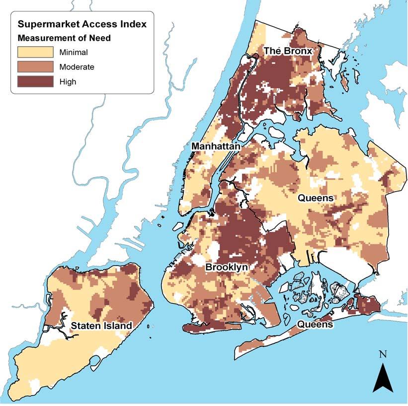 Introduction Assessing Need: City Planning s assessment of need for new neighborhood grocery stores and supermarkets accounted for the areas in the City that have the highest levels of