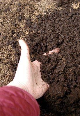 sandy and clay soils