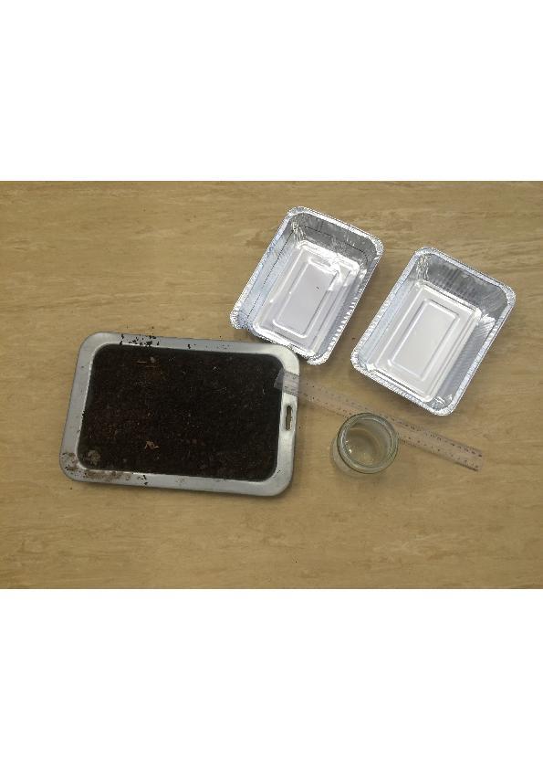 Method: * Draw a level in the foil tray using permanent marker to fill it with soil e.g., 3 cm deep. * Fill the tray to the level and put a single plastic box underneath the tray to give elevation.