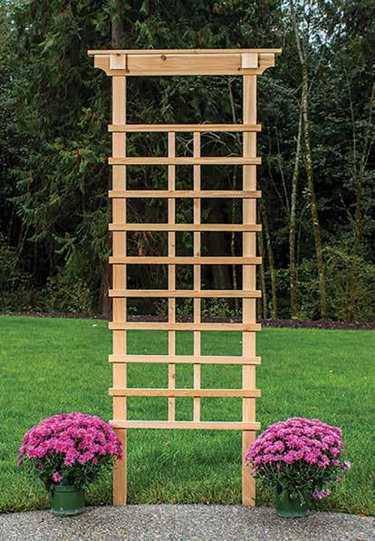 This trellis comes fully assembled and offers a more intricate design for use as trellis or screening. Stakes not included. Dimensions (w x d x h): 24 x 1.