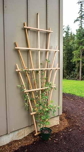 All joints are double-fastened with glue and staples for added strength. Dimensions (w x d x h): 32 x 1.5 x 72 Wave Trellis 862.