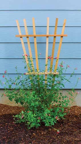 Use the Wave Trellis to support climbing plants, or simply as an attractive and artistic garden focal point. Hardware not included.