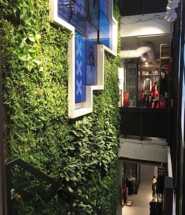 A SemperGreenwall enhances the shopping experience in shops and malls.