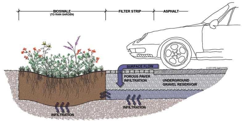 Paving and Stormwater Runoff Pavement is notorious for contributing to flooding and pollution.