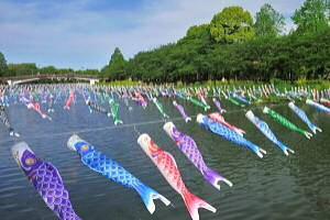 Now that it s spring, you might be feeding your fish more than your bio-converter can convert because it doesn t awaken as fast as the Koi do.