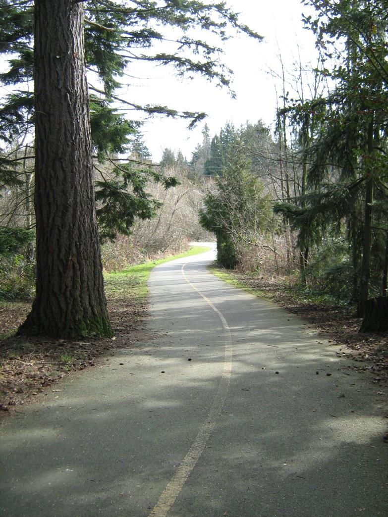 LYNNWOOD RECOMMENDATIONS Complementary land uses Funding opportunities Revised school district plans Preserve trees, additional landscaping Building buffers trains and buses