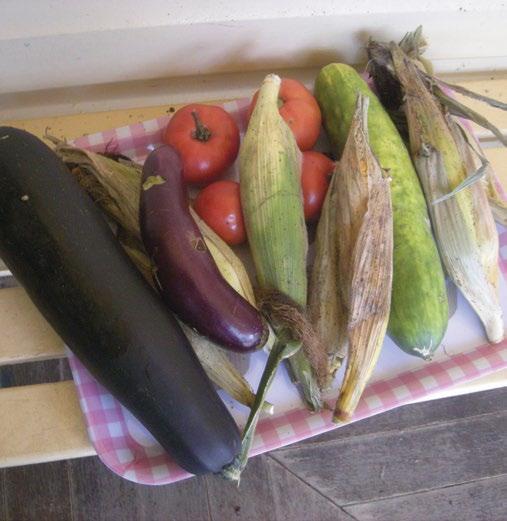 Some of the veggies we grew were corn, broccoli, lettuce, Tuscan cabbage, tomatoes and lots more. Each week Mrs.