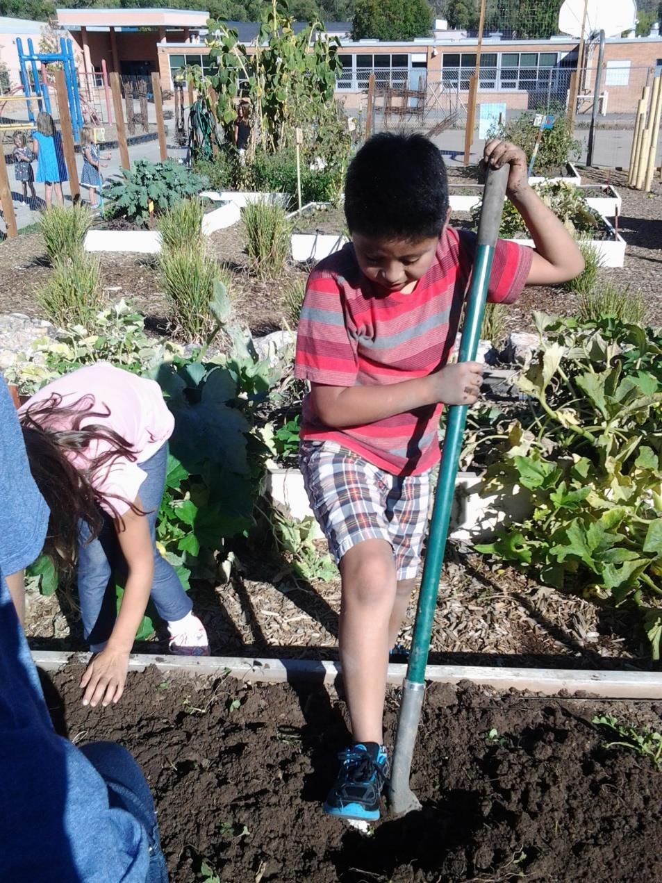 Objectives 1) Helping schools and nonprofit agencies create and/or enhance community and school garden programs 2) Providing the community with education and workshops on local food and