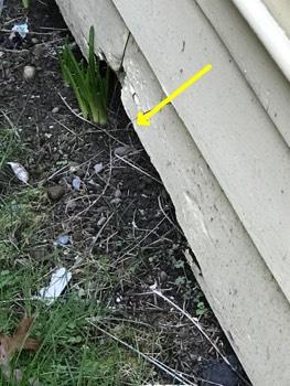 2. Gutters Gutters and downspouts appeared in good condition
