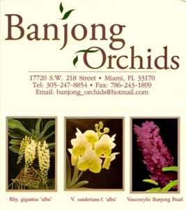 Broward Orchid Supply, TLC