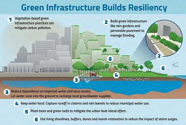 Why Green Infrastructure?