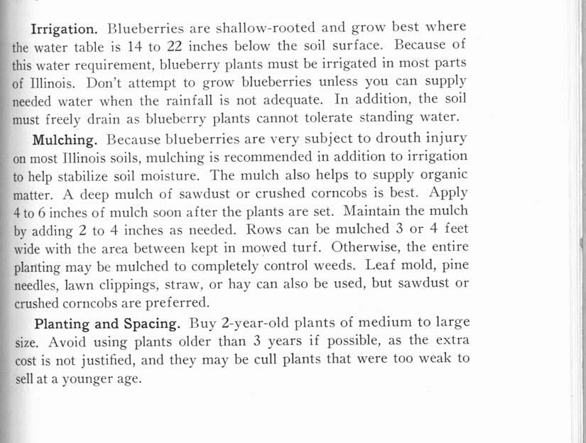 Because of this water requirement, blueberry plants must be irrigated in most parts of Illinois. Don't attempt to grow blueberries unless you can supply needed water when the rainfall is not adequate.