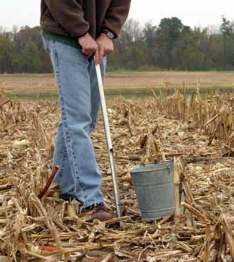 How to Take a Soil Sample Place 10-20 cores in buckets and mix thoroughly for a composite sample Sample to a consistent depth!