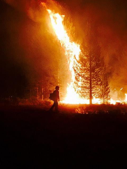 Wildfire in Colorado DFPC Years EFF Incidents EFF