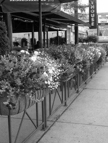 8.11 Planters It is the responsibility of the Sidewalk Café Permit Holder to maintain the planter boxes by prompt removal of dead blooms.