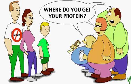 e) dilema dėl baltymų Remiantis paskutiniais tyrimų duomenimis, žmogaus organizmui per dieną pilnai pakanka 30-45gr. baltymų, o ne 150 gr., kaip buvo teigiama prieš 20 metų.