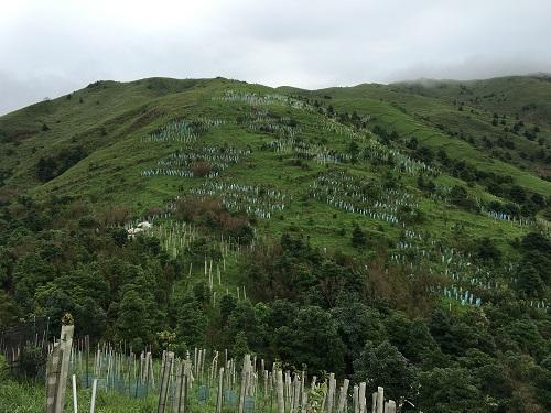 Supporting Native Plant Production in China Kadoorie Farm and Botanic Garden (KFBG) in Hong Kong is the first to