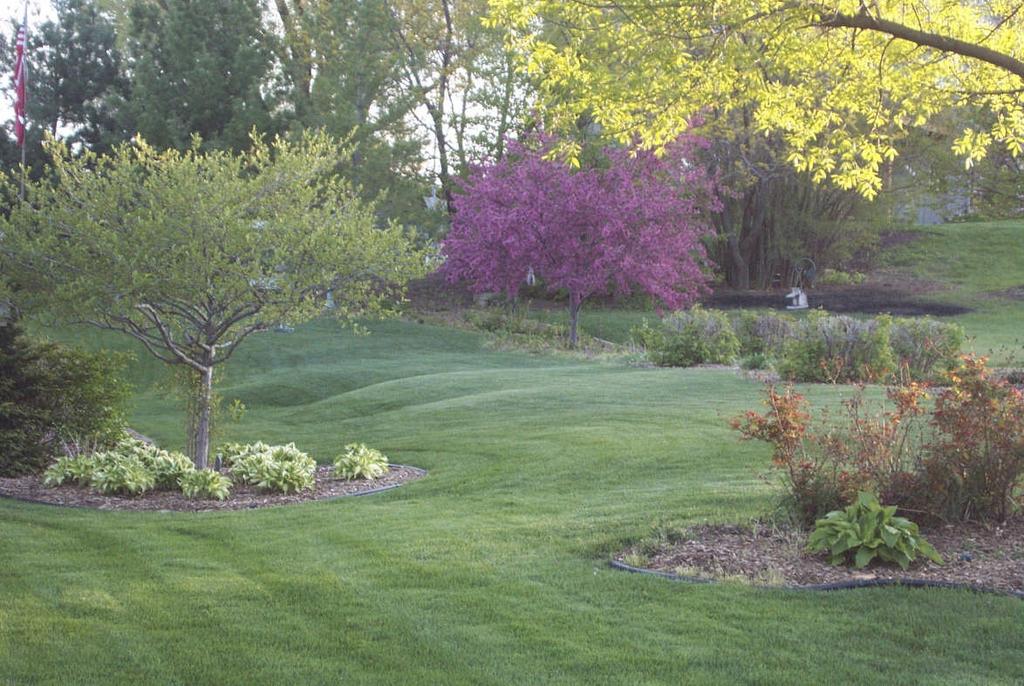 Improving Your Grass With Calcium Sulfate Soil Solutions, LLC 303