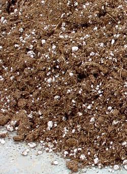 What is a soilless potting mix?
