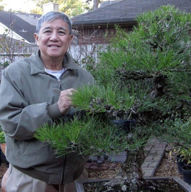 He is an accomplished engineer who is now applying his scientific mindset and skills onto creating outstanding Bonsai. Dr.