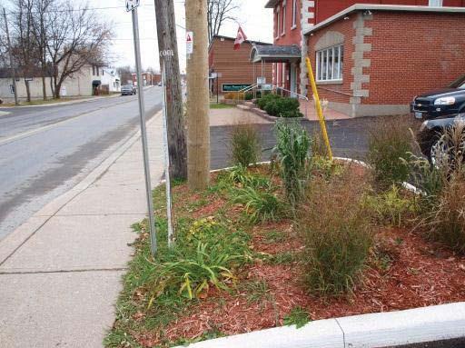 Where rear yard parking is not possible, side yard parking may provide a suitable alternative, provided that landscaped buffers are incorporated into the site design (see below).