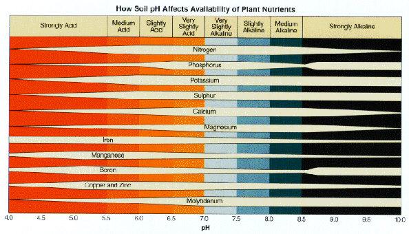 Adjusting Soil ph Too low Ground agricultural limestone The finer the grind, the more rapid response Too high Elemental sulfur; Sulfuric acid; Aluminum sulfate Chelated iron (for iron deficiency)