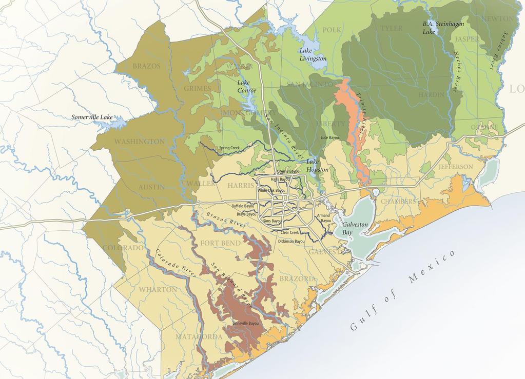 Bayou Greenways 13 County Context PINEY WOODS BIG THICKET RIVERS & BAYOUS TRINITY BOTTOMLANDS