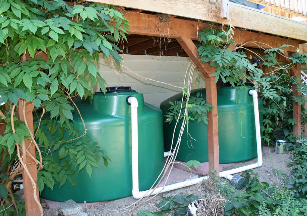 Since cisterns can manage a significant amount of water, they can effectively be used for irrigation and other non-potable uses.