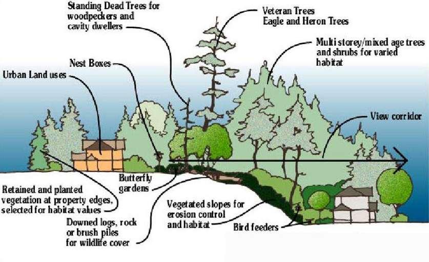 Upland Habitat Greenways & Steep Slope