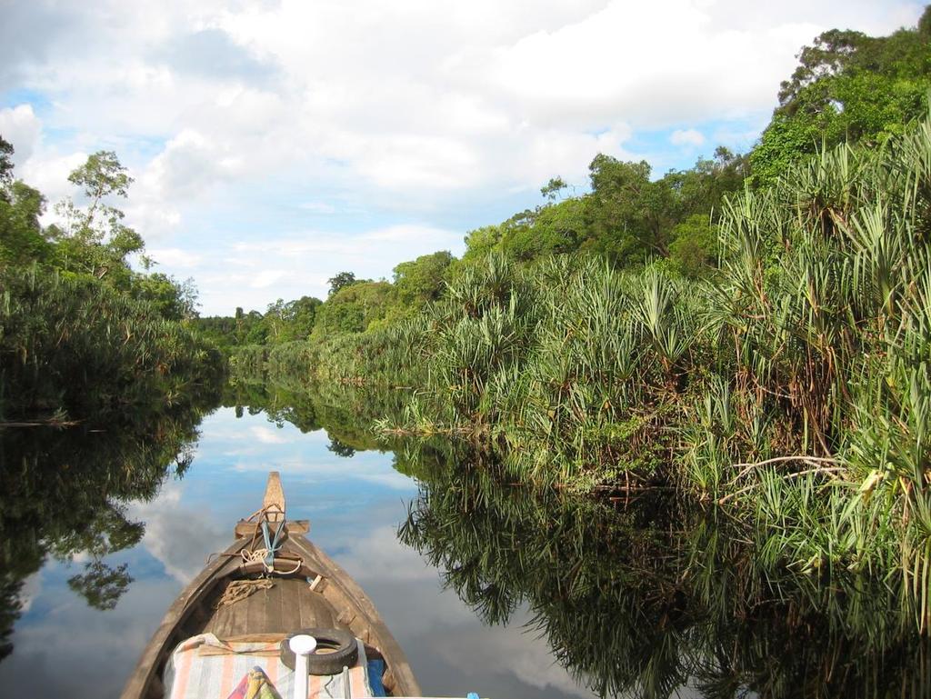Example (2) ongoing cross-sectoral project Berbak Green Prosperity Partnership project Sumatra Following components: Peatland restoration (canal blocking, replanting programmes, community livelihood