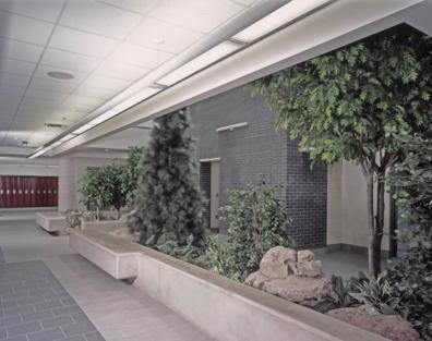 outside natural environment and the areas we create inside our buildings.