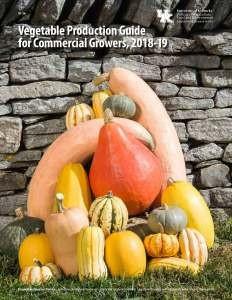 This comprehensive publication contains a wealth of information on commercial vegetable production and pest management, from variety