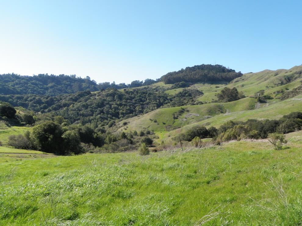 LAND USE PLAN AMENDMENT PROJECT PURPOSE Incorporate subject open space & developed local trails into Robert Sibley Volcanic Regional Preserve [EBRPD Resolution No.