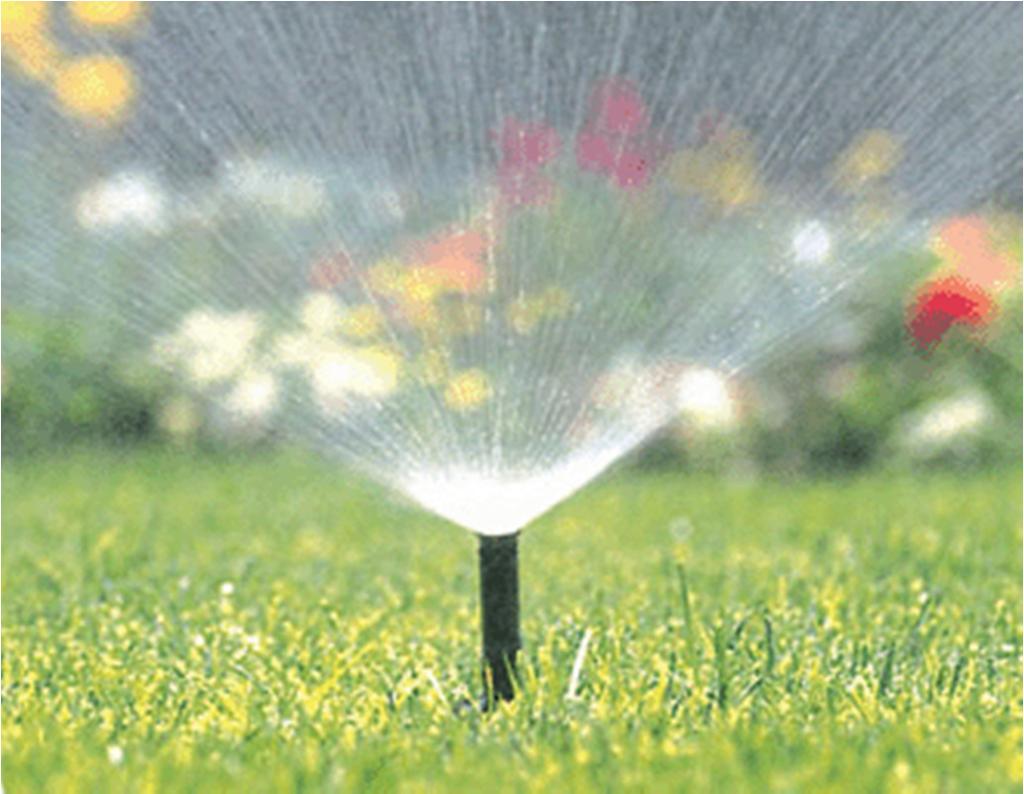 Water helps nutrients from the soil move through the plant.