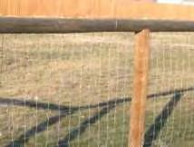 2m high posts with chain wire Keeps pets in