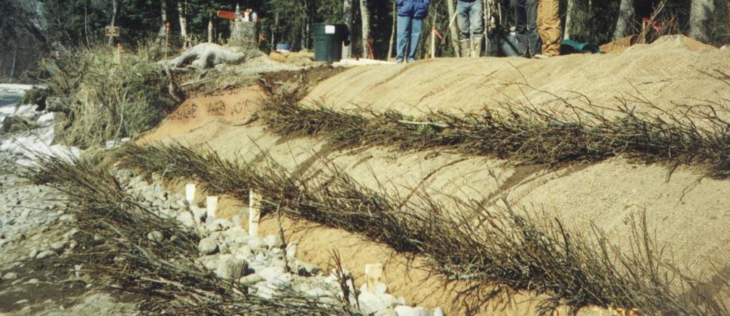 Vegetated soil lift is the most popular bioengineered method for streambank