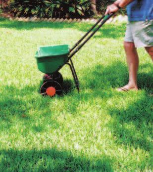Lawn care calendar* February 20 March 15 If summer weeds have been a problem, apply a preemergent herbicide to control annual summer weeds in the lawn.