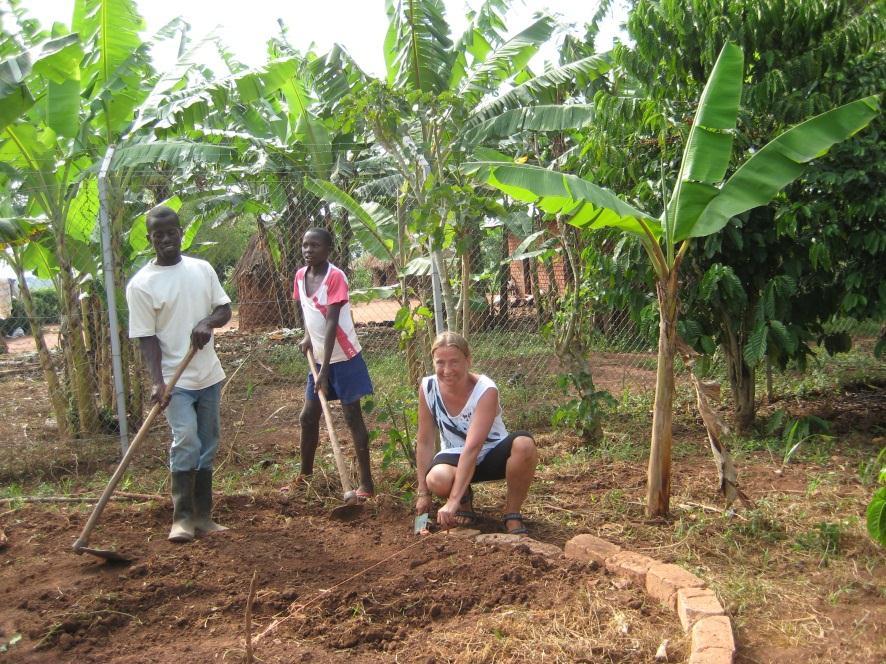 The soil and composting unit are built up in layers with rich nutritious and different textured materials to get a good structured soil that would be contained and