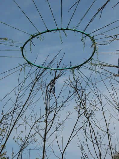 8 A green hoop