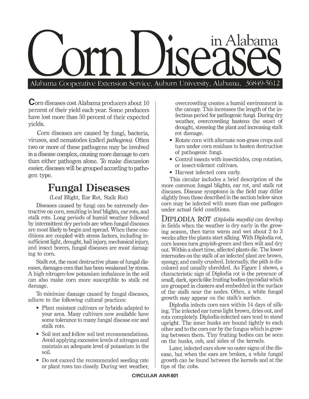 inalabama tseases Alalxuna Cooperative Extension Service, Auburn University, Alab~m1a, 36849-)612 Corn diseases cost Alabama producers about 10 percent of their yield each year.