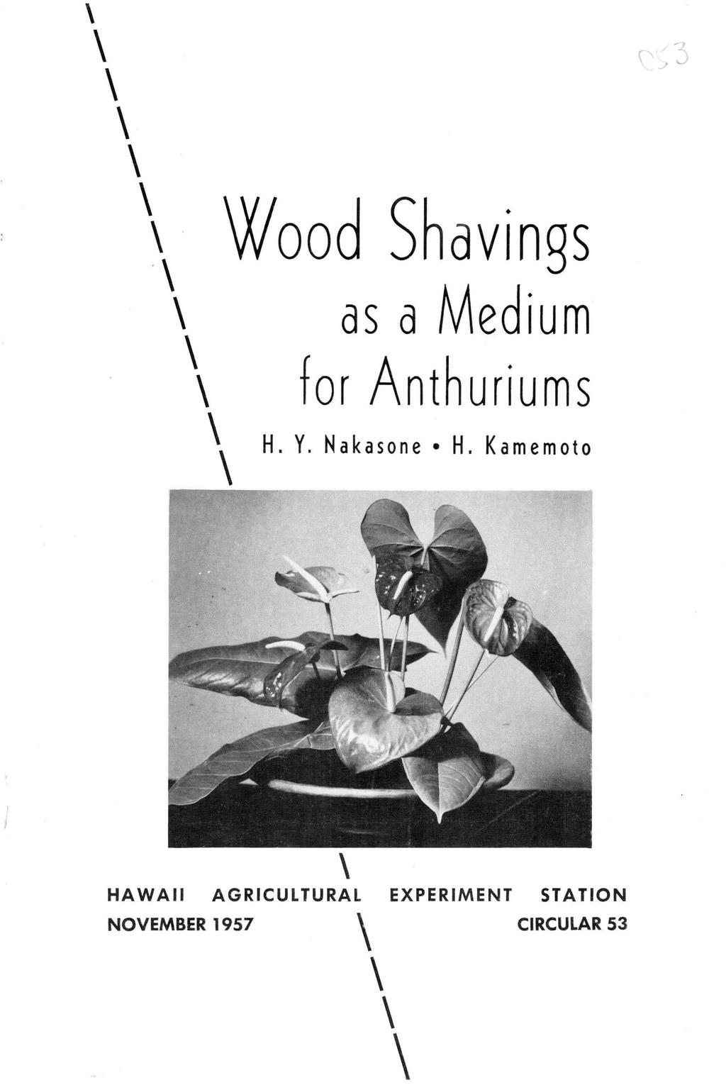 ~.z. (, v., Wood Shavings as a Medium for Anthuriums H. Y. Nakasone H.