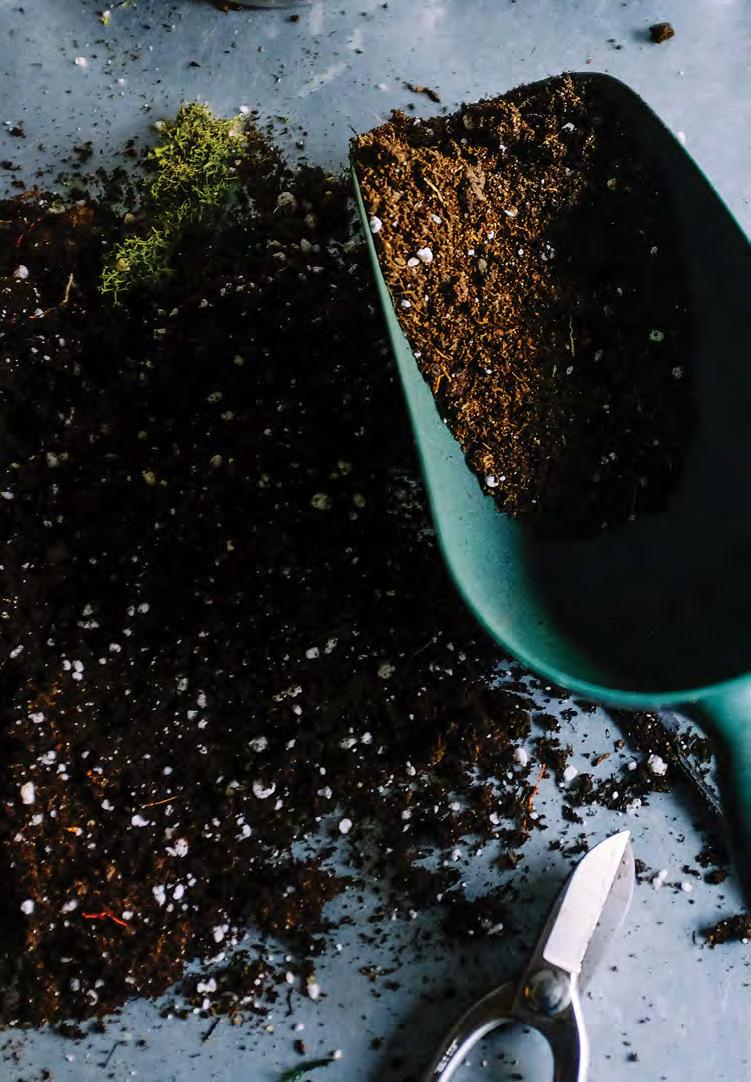 3. GET PLANTING POTTED PLANTS You ll need to re-pot your plants to give them some room to grow. Take a new pot and put half a finger of potting mix in the bottom.