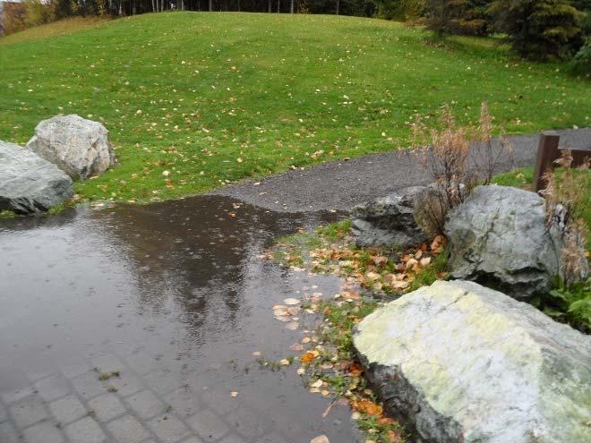 There was no standing water observed in the rain garden. The outlet pipe was flowing slowing, with water pooling downstream of the outlet and slowing the outlet flow velocities.