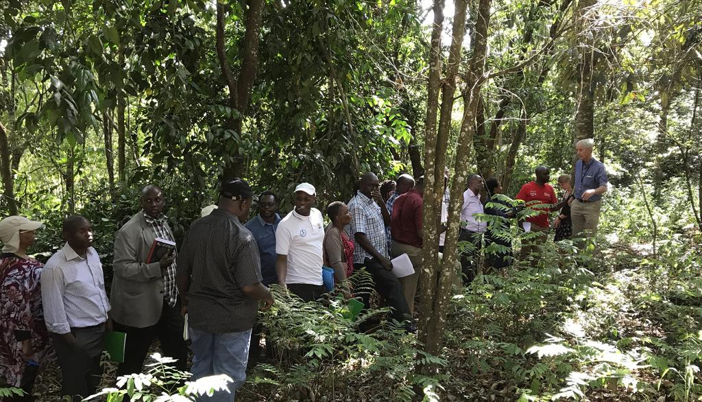 Participants visiting area of native tree species reforestation at Brackenhurst Botanic Garden, during the field visit component of the training.