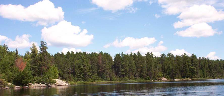 Summary Ban Lake is a 380 acre, soft-water, bog-stained lake of northeastern Minnesota. The aquatic plant community includes a group of species adapted to low nutrients and low alkalinity.