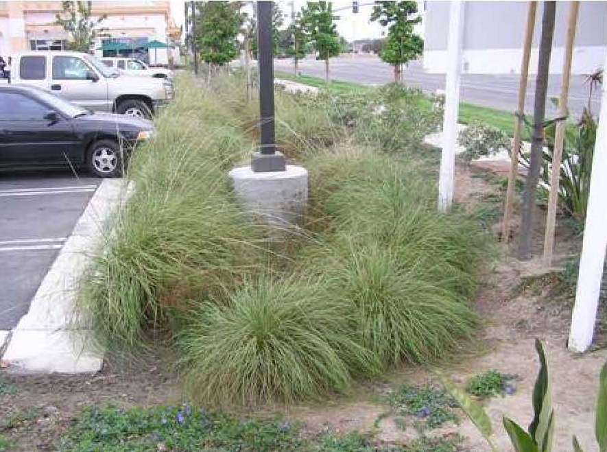 Is the use of bioretention islands and other stormwater practices within landscaped areas and/or setbacks allowed?