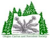 The Oregon Cactus & Succulent