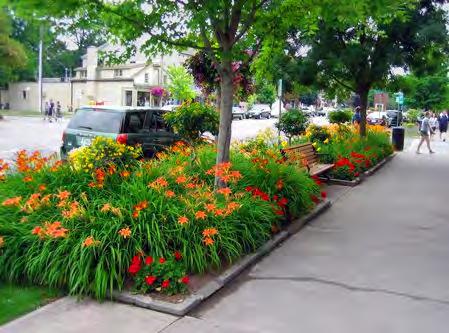 Guideline: Use trees and plants to complement the pedestrian character of the historic district.