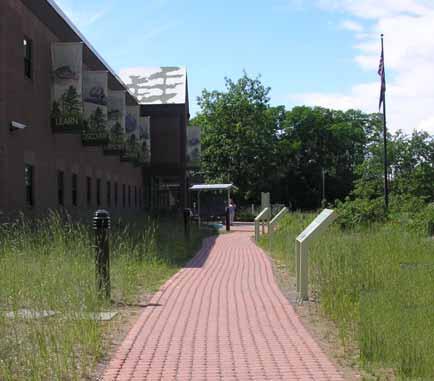 Going Green with the NYS Stormwater