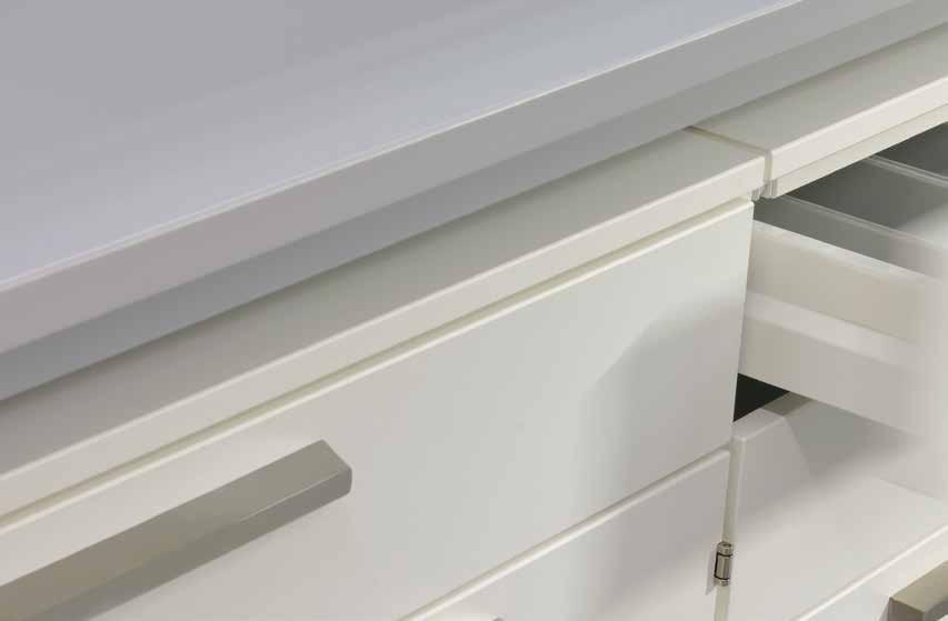 4 Storage cabinets Our SCALA laboratory furniture system provides you the greatest possible selection of storage variations for quick access and safe storage.
